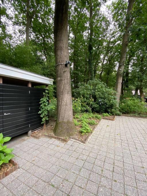 Duinhoek: Luxe Studio, Prachtig En Rustig Gelegen 宰斯特 外观 照片